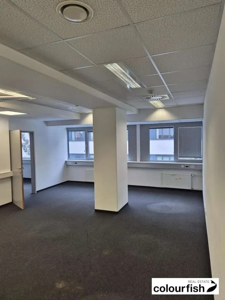 Gewerbeimmobilie mieten in Wien – 260 m², € 4.901 – Bild 5 von 8