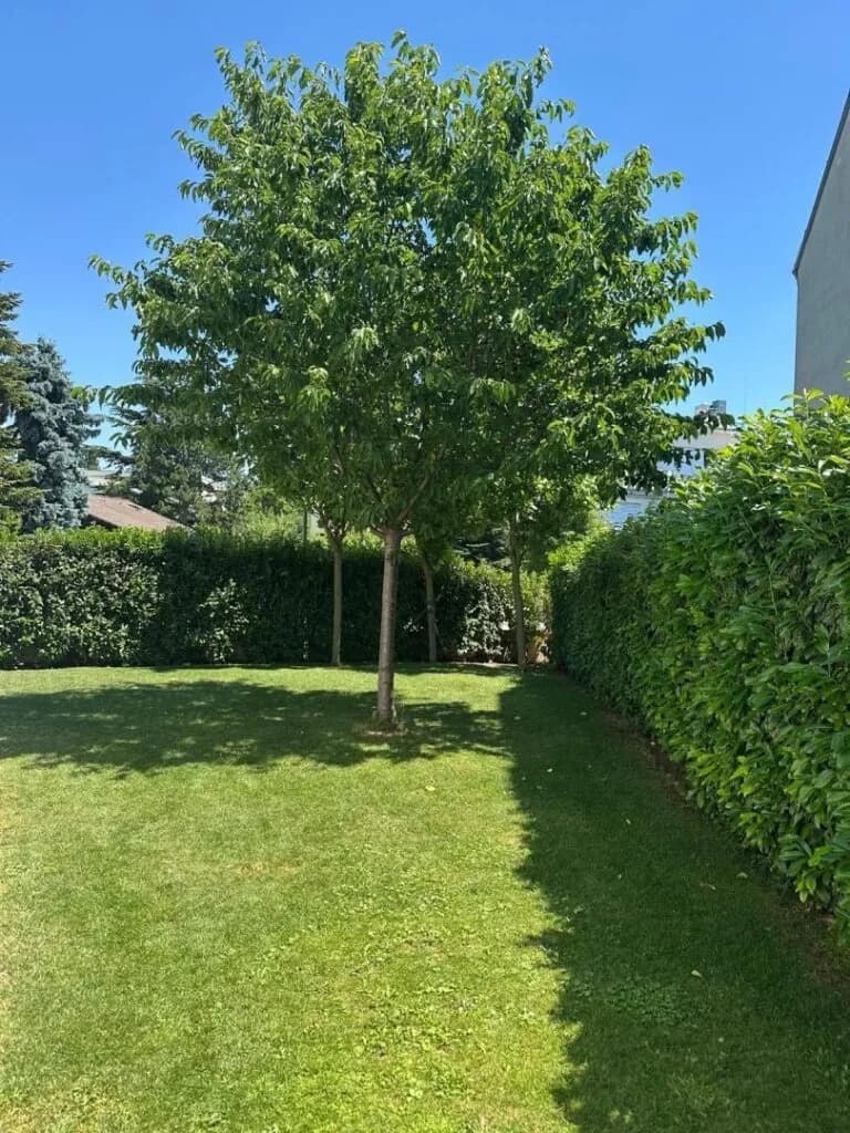 3-Zimmer-Wohnung kaufen in Wien – 72,79 m², € 899.000 – Bild 17 von 24