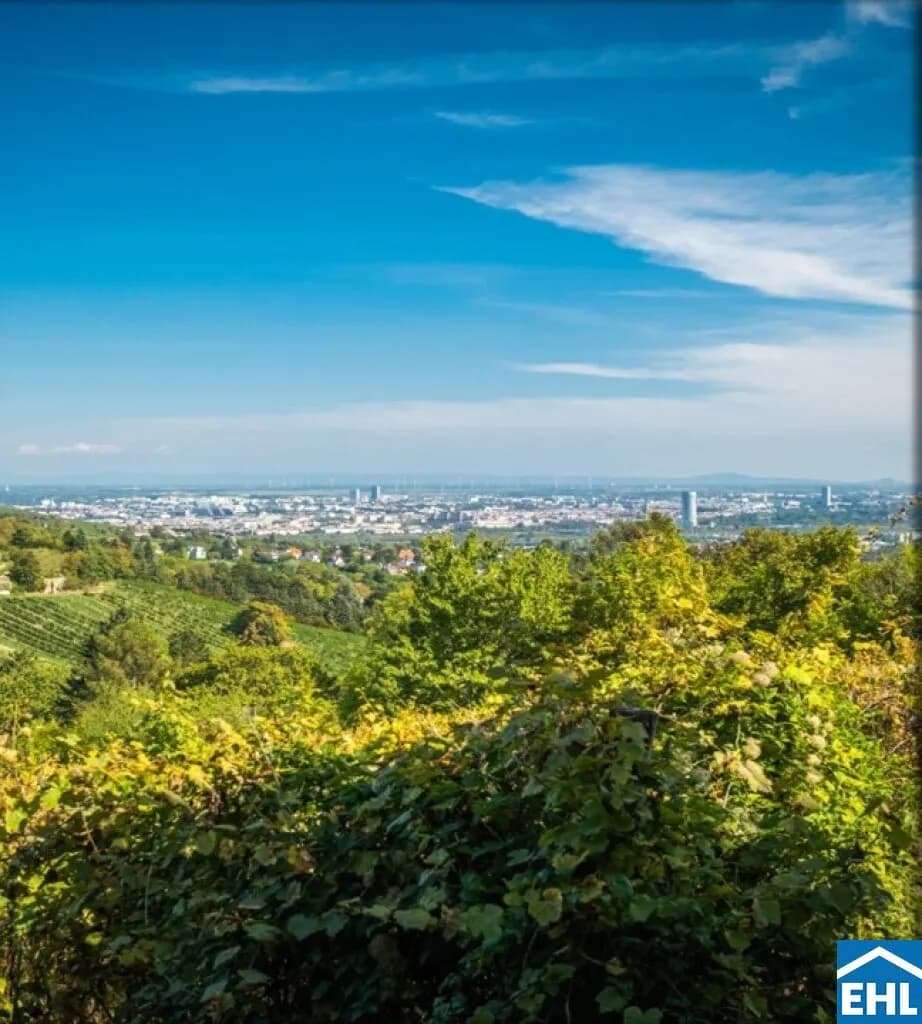Immobilie kaufen in Wien – 17 402 m² – Bild 4 von 7