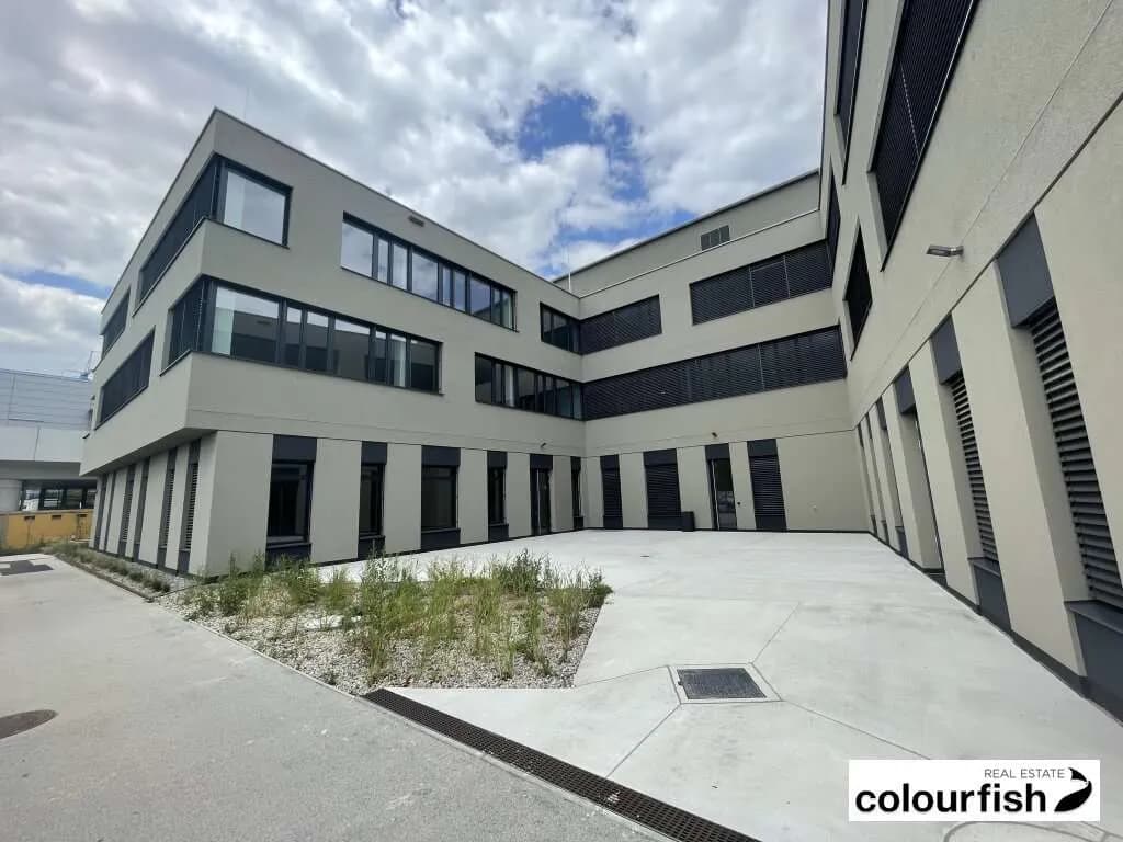 Gewerbeimmobilie mieten in Wien – 178 m², € 3.724 – Bild 5 von 9