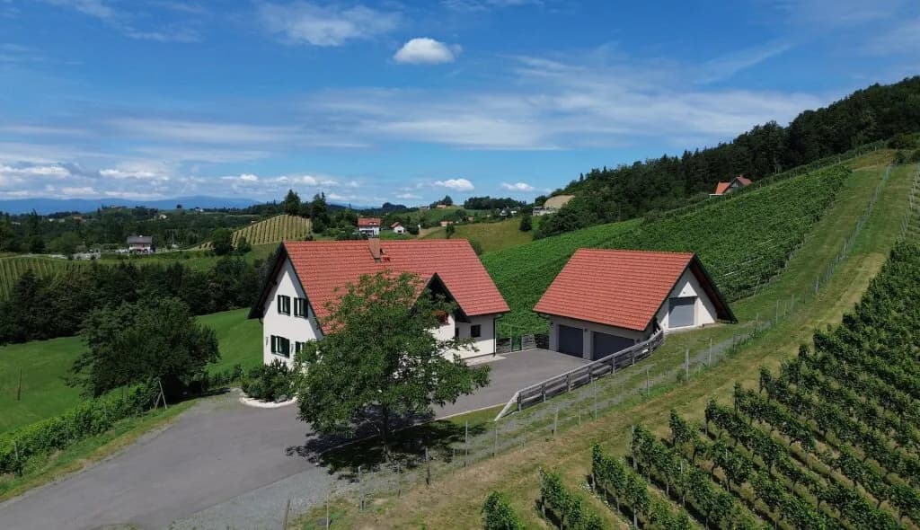 Haus kaufen in Leibnitz – 220 m², € 1.350.000 – Bild 1 von 10