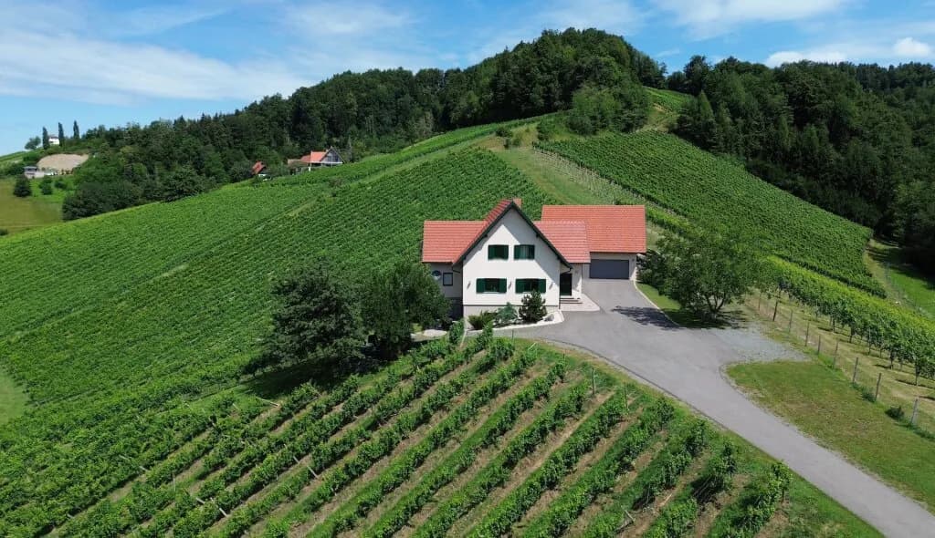 Haus kaufen in Leibnitz – 220 m², € 1.350.000 – Bild 3 von 10