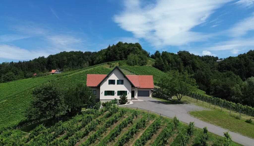 Haus kaufen in Leibnitz – 220 m², € 1.350.000 – Bild 4 von 10