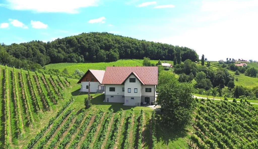 Haus kaufen in Leibnitz – 220 m², € 1.350.000 – Bild 5 von 10
