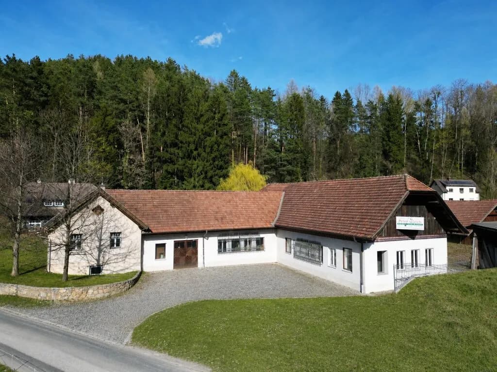 Gewerbeimmobilie mieten in Wiener Neustadt Land – 480 m², € 1.500