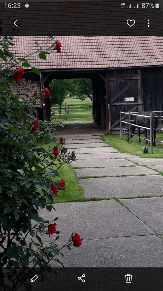Immobilie kaufen in Gänserndorf – 4 000 m², € 290.000
