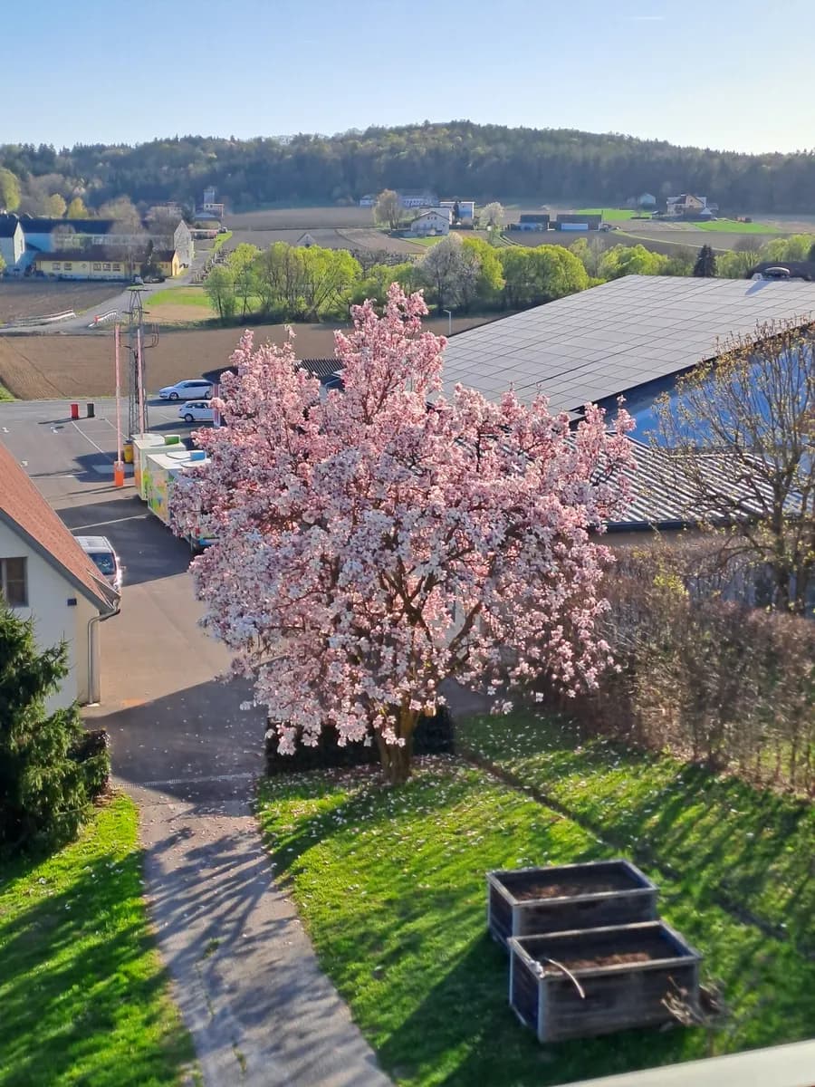 Haus kaufen in Südoststeiermark – 225 m², € 525.000 – Bild 91 von 95