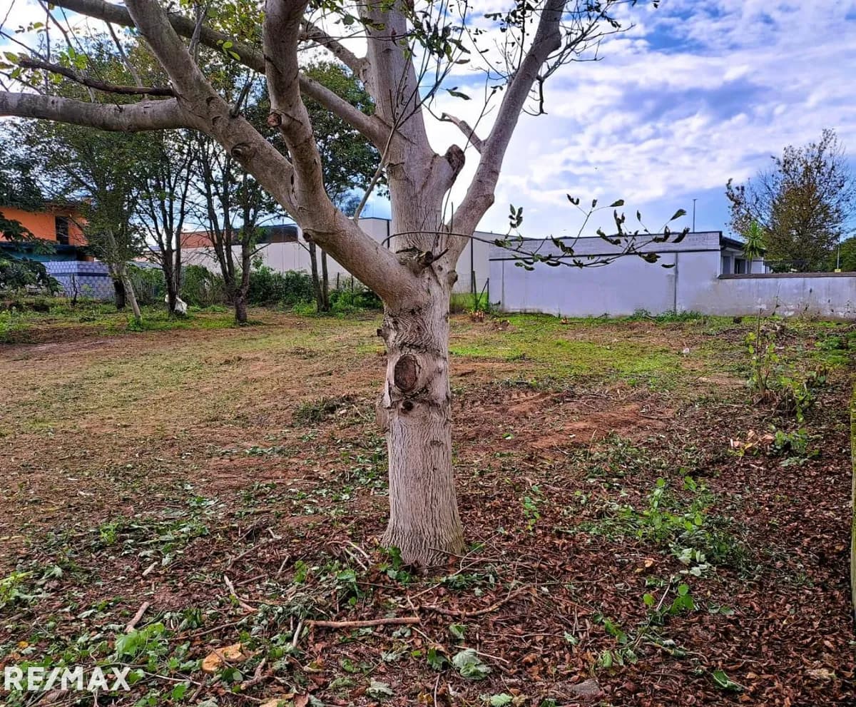 Grundstück kaufen in Hartberg-Fürstenfeld – 1 356 m², € 59.900 – Bild 2 von 6