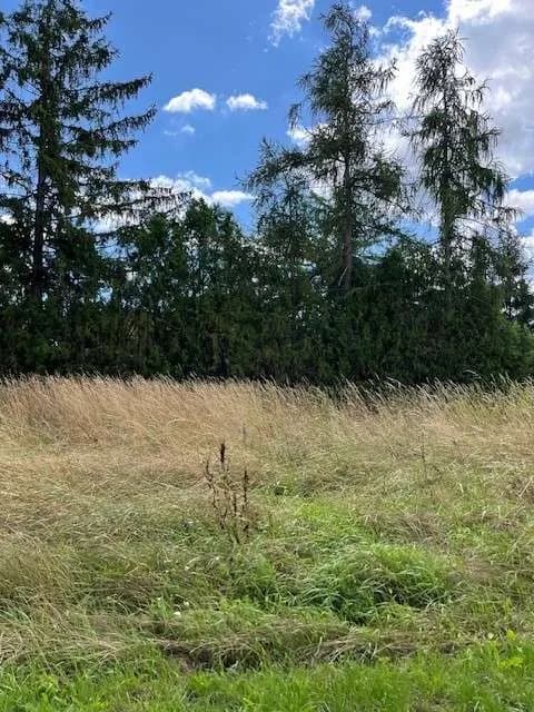 Grundstück kaufen in Gänserndorf – 1 341 m², € 72.200 – Bild 5 von 8
