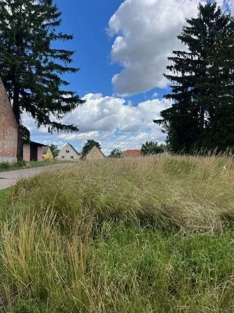 Grundstück kaufen in Gänserndorf – 1 341 m², € 72.200 – Bild 6 von 8