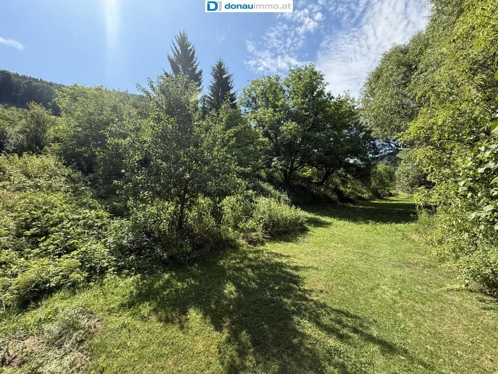 Haus kaufen in Krems Land – 350 m², € 398.000 – Bild 6 von 25