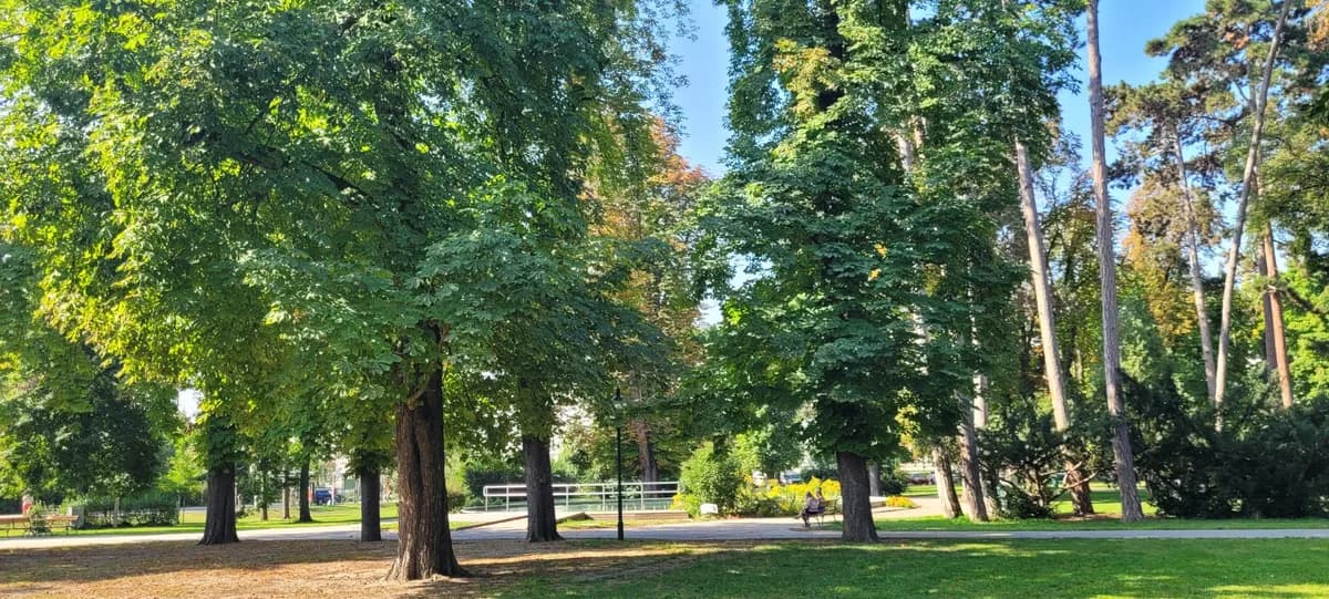 2-Zimmer-Wohnung mieten in Krems an der Donau – 65,13 m², € 1.026 – Bild 14 von 26