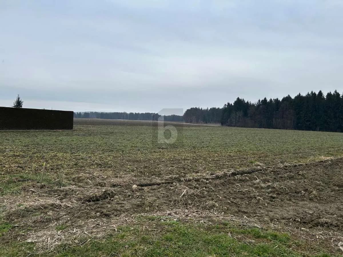 Grundstück kaufen in Leibnitz – 1 499 m²