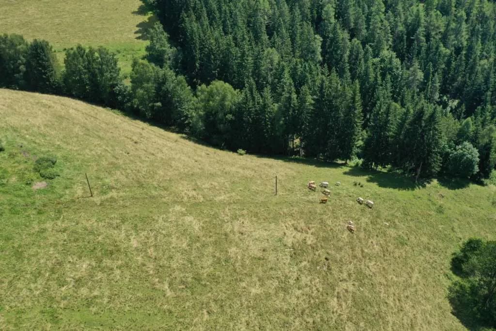 Grundstück kaufen in Sankt Veit an der Glan – 151 000 m², € 350.000