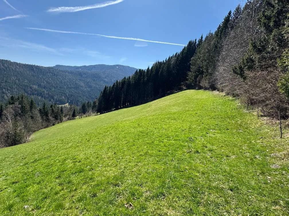 Grundstück kaufen in Feldkirchen – 270 000 m² – Bild 5 von 18
