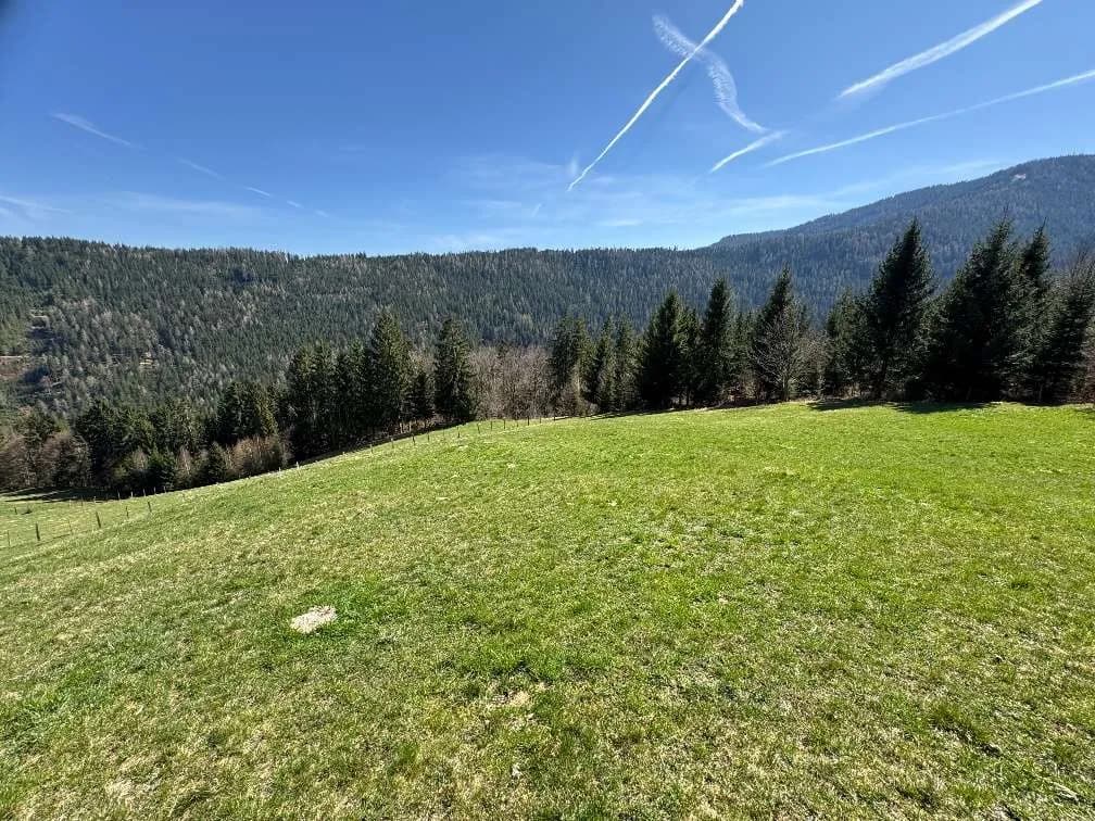 Grundstück kaufen in Feldkirchen – 270 000 m² – Bild 6 von 18