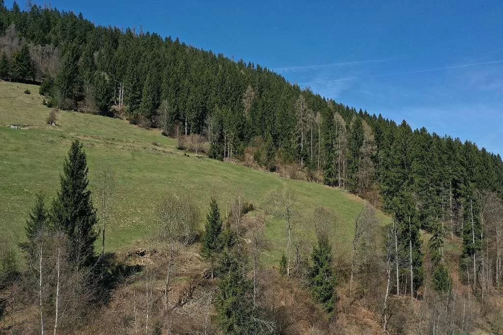 Grundstück kaufen in Feldkirchen – 270 000 m² – Bild 7 von 18