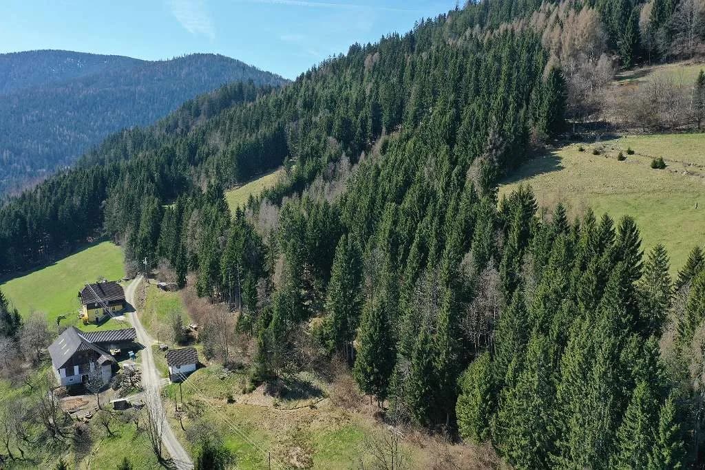 Grundstück kaufen in Feldkirchen – 270 000 m² – Bild 9 von 18