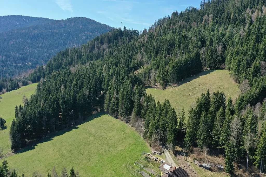Grundstück kaufen in Feldkirchen – 270 000 m² – Bild 11 von 18