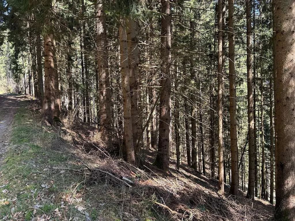 Grundstück kaufen in Feldkirchen – 270 000 m² – Bild 17 von 18
