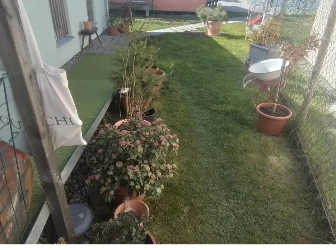 4-Zimmer-Haus mieten in Schärding – 80 m², € 930 – Bild 3 von 5