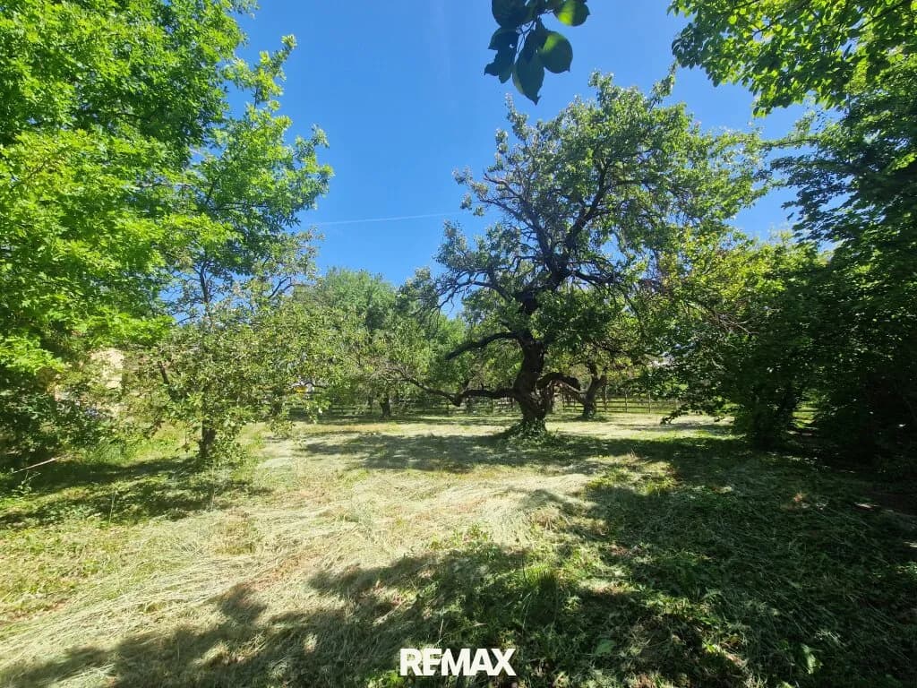 Immobilie kaufen in Baden – 657 m², € 290.000 – Bild 5 von 7