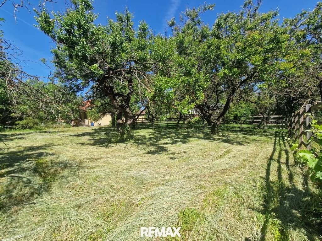 Immobilie kaufen in Baden – 657 m², € 290.000 – Bild 6 von 7
