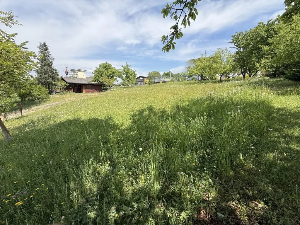 Grundstück kaufen in Freistadt – 805 m², € 257.000 – Bild 3 von 7