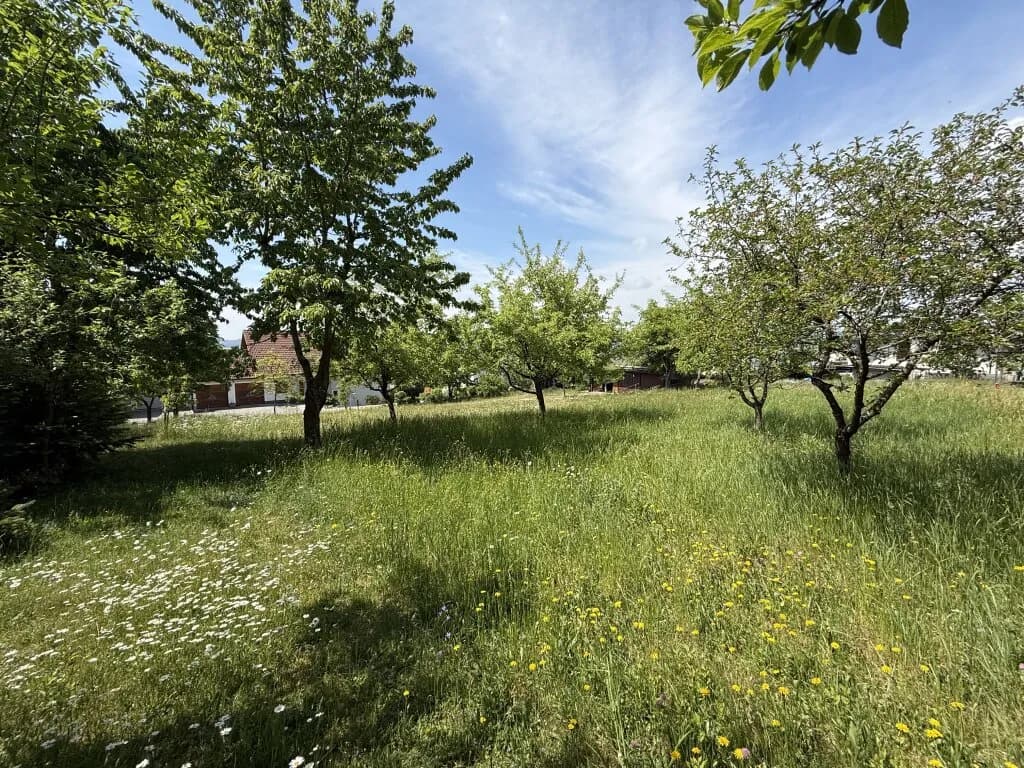 Grundstück kaufen in Freistadt – 805 m², € 257.000 – Bild 4 von 7