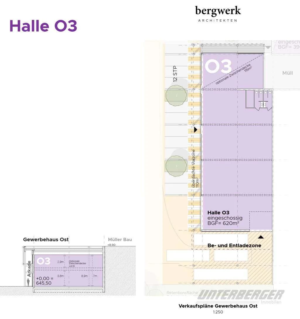 Immobilie kaufen in Kitzbühel – 620 m² – Bild 2 von 6