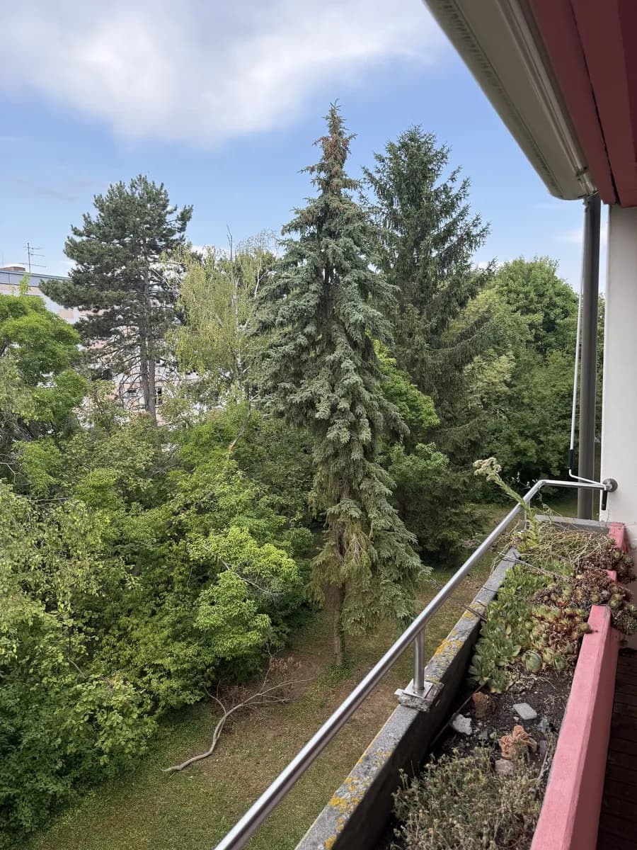 3-Zimmer-Wohnung kaufen in Mödling – 97 m², € 269.000 – Bild 10 von 21