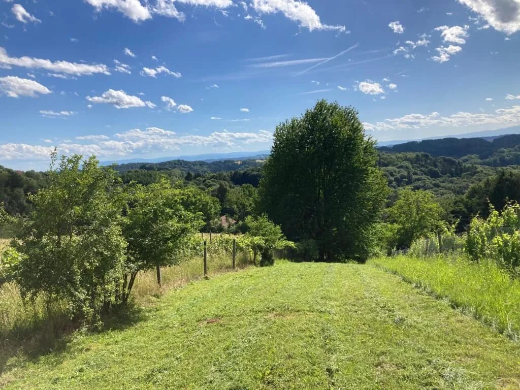 Grundstück kaufen in Südoststeiermark – 1 022 m², € 10.000
