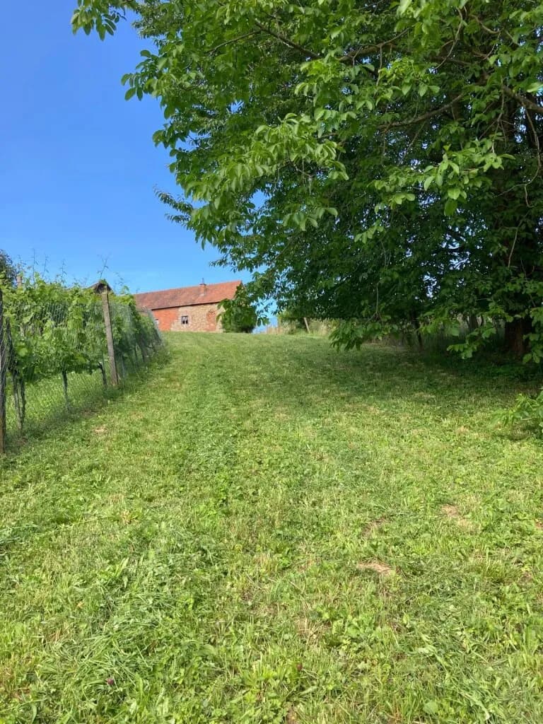 Grundstück kaufen in Südoststeiermark – 1 022 m², € 10.000 – Bild 2 von 19