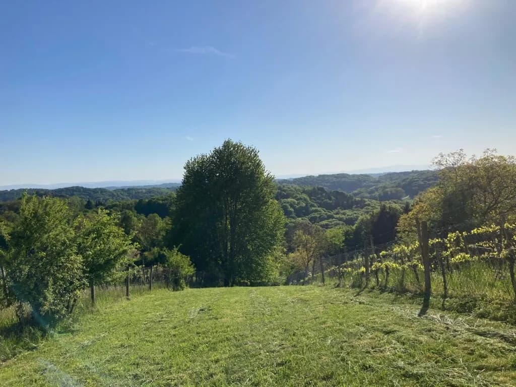 Grundstück kaufen in Südoststeiermark – 1 022 m², € 10.000 – Bild 3 von 19