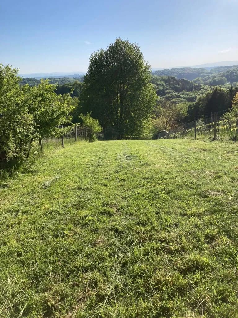 Grundstück kaufen in Südoststeiermark – 1 022 m², € 10.000 – Bild 4 von 19