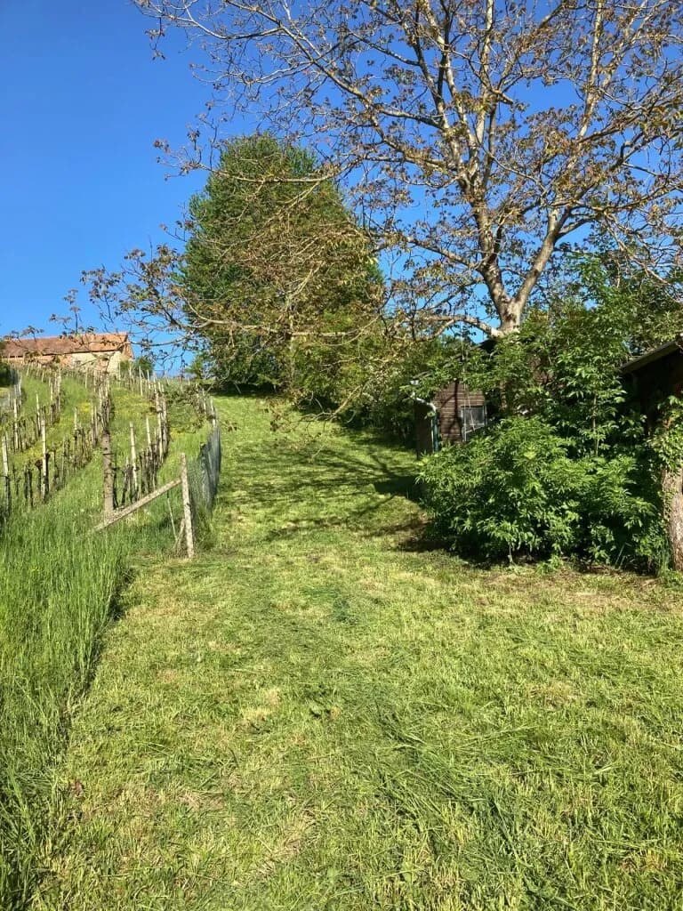 Grundstück kaufen in Südoststeiermark – 1 022 m², € 10.000 – Bild 5 von 19