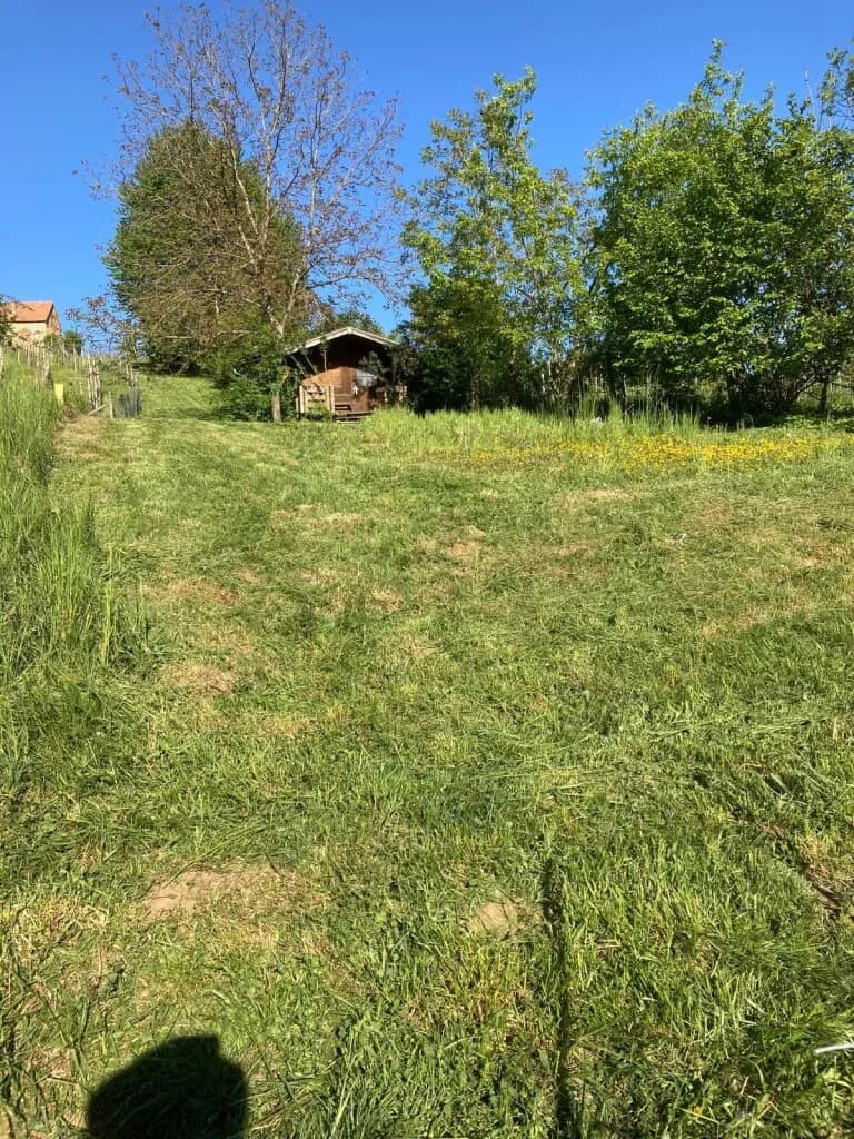 Grundstück kaufen in Südoststeiermark – 1 022 m², € 10.000 – Bild 6 von 19