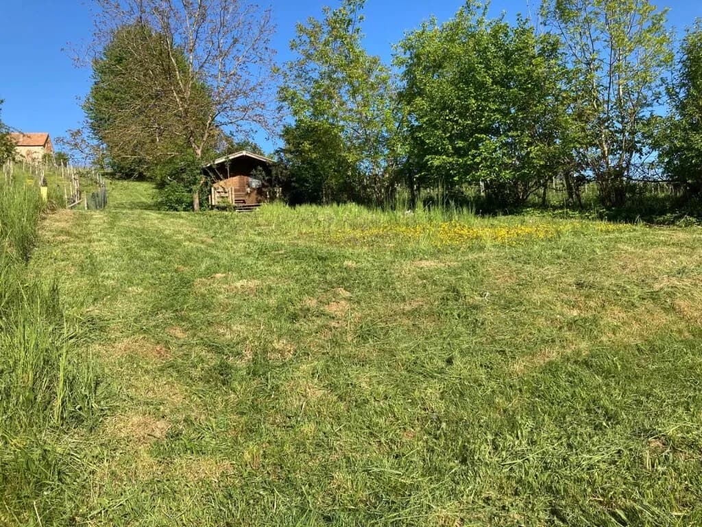 Grundstück kaufen in Südoststeiermark – 1 022 m², € 10.000 – Bild 7 von 19