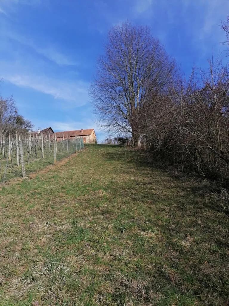 Grundstück kaufen in Südoststeiermark – 1 022 m², € 10.000 – Bild 9 von 19