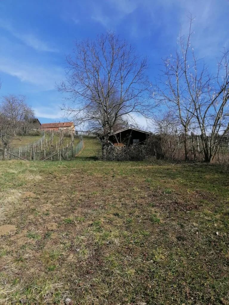 Grundstück kaufen in Südoststeiermark – 1 022 m², € 10.000 – Bild 11 von 19