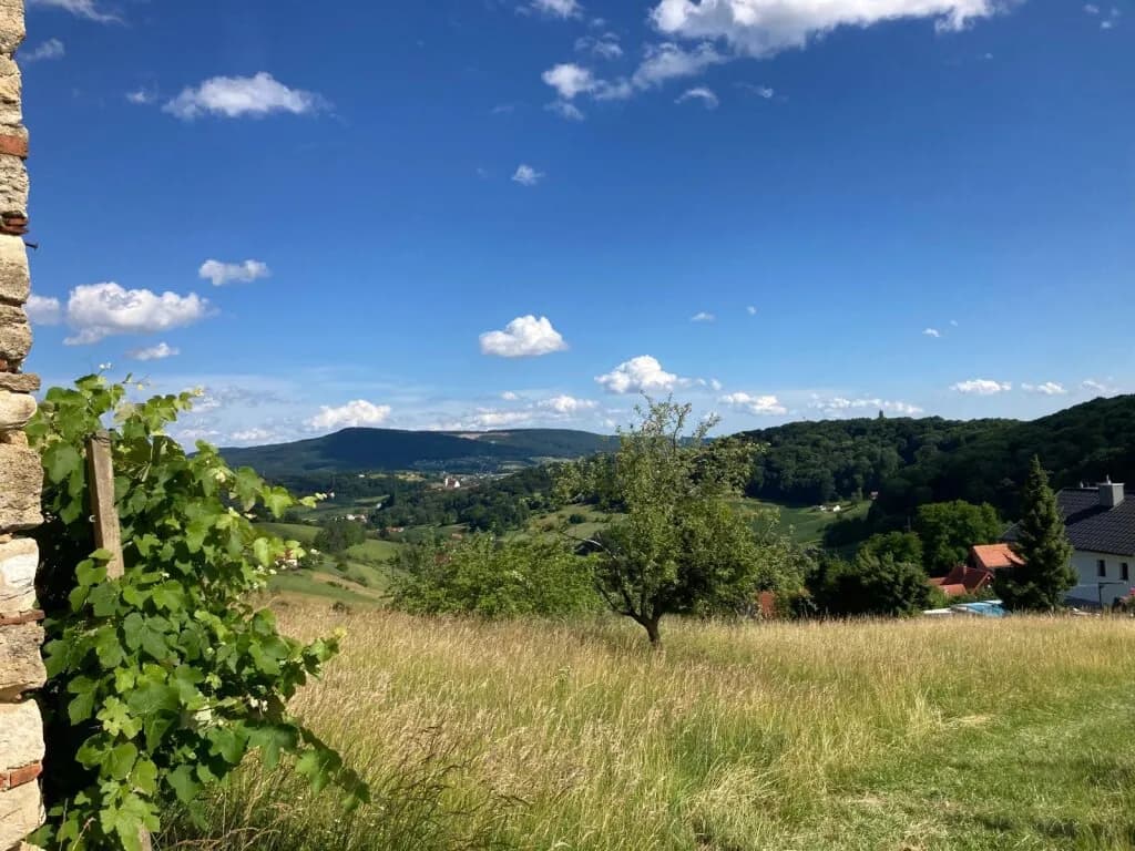 Grundstück kaufen in Südoststeiermark – 1 022 m², € 10.000 – Bild 17 von 19
