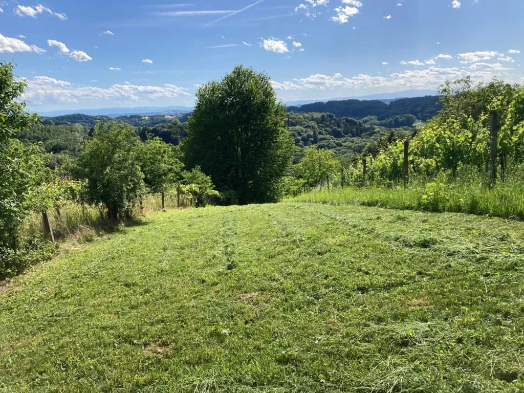 Grundstück kaufen in Südoststeiermark – 1 022 m², € 10.000 – Bild 18 von 19