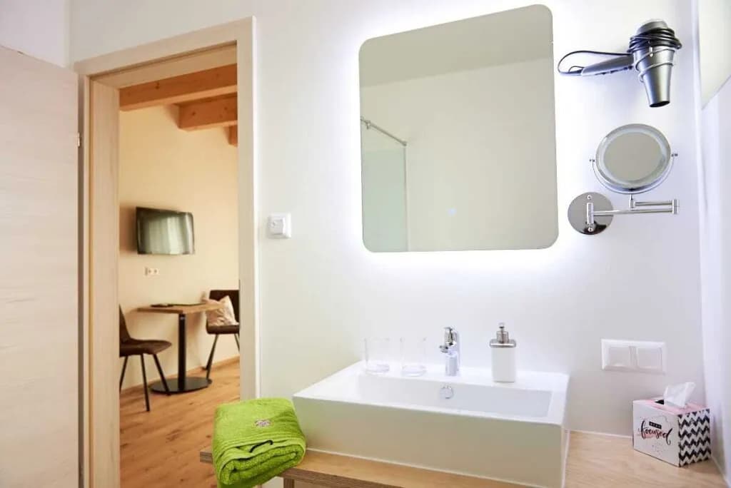 6-Zimmer-Haus kaufen in Südoststeiermark – 495,95 m² – Bild 7 von 20