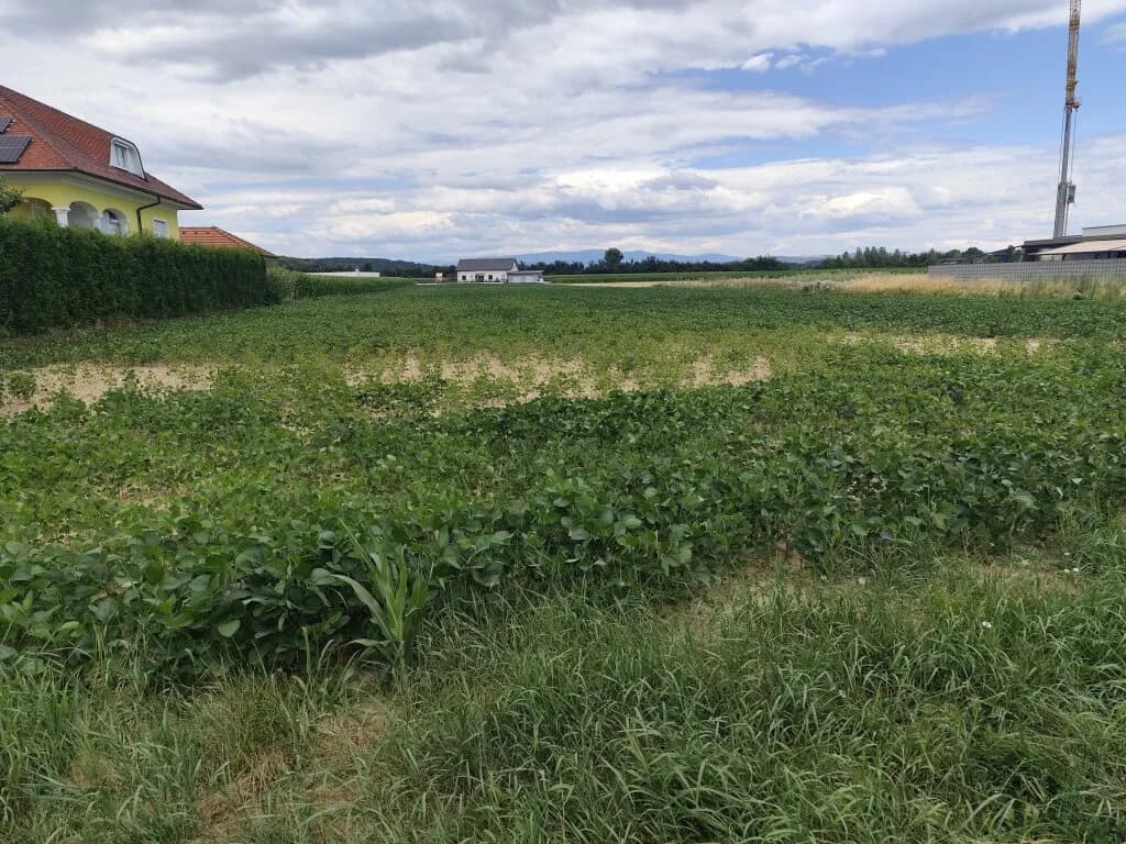 Grundstück kaufen in Oberwart – 4 570 m² – Bild 2 von 2