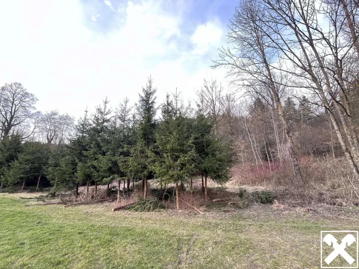 Grundstück kaufen in Schärding – 28 925 m², € 144.625 – Bild 2 von 4