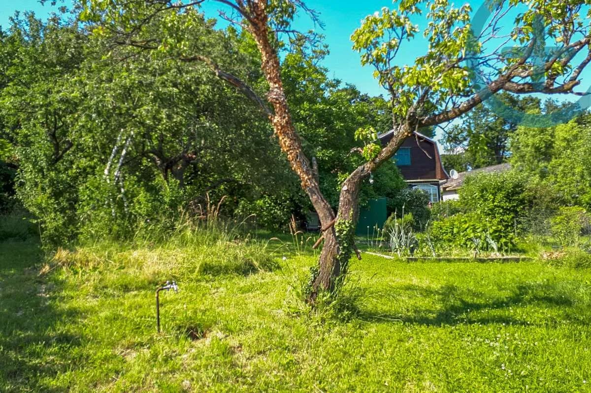 Grundstück kaufen in Wien – 503 m², € 699.000 – Bild 5 von 7