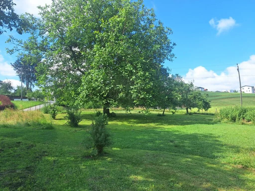Gewerbeimmobilie kaufen in Schärding – 200 m², € 530.000 – Bild 2 von 27