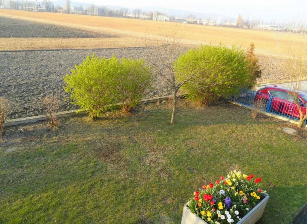 6-Zimmer-Haus mieten in Korneuburg – 162 m², € 2.690 – Bild 29 von 44