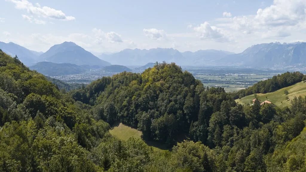 9-Zimmer-Gewerbeimmobilie kaufen in Feldkirch – 198 m², € 1.100.000 – Bild 4 von 15