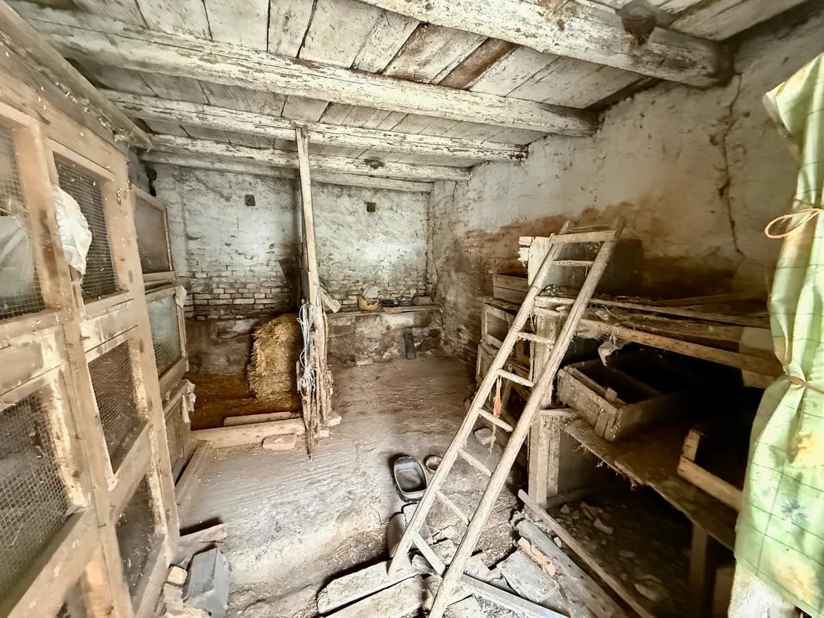 3-Zimmer-Haus kaufen in Hollabrunn – 79,7 m², € 59.999 – Bild 11 von 16